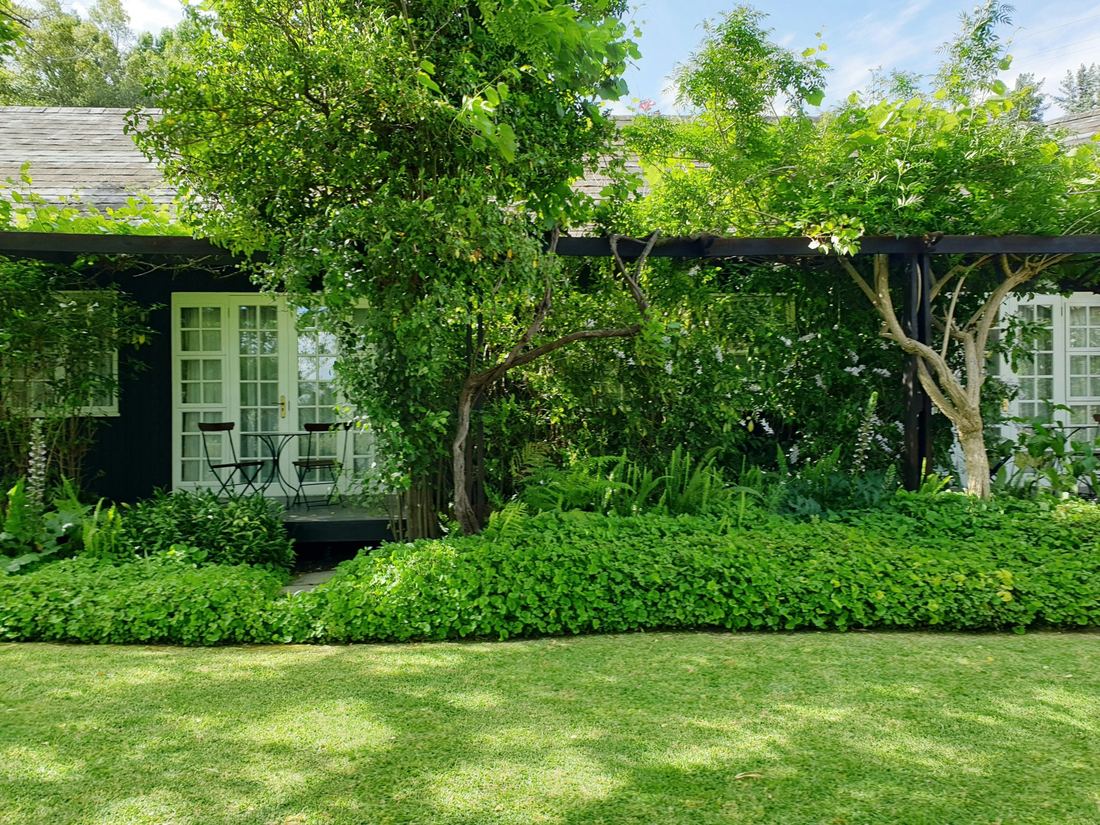 Lush shade garden and lawn in front of a cottage