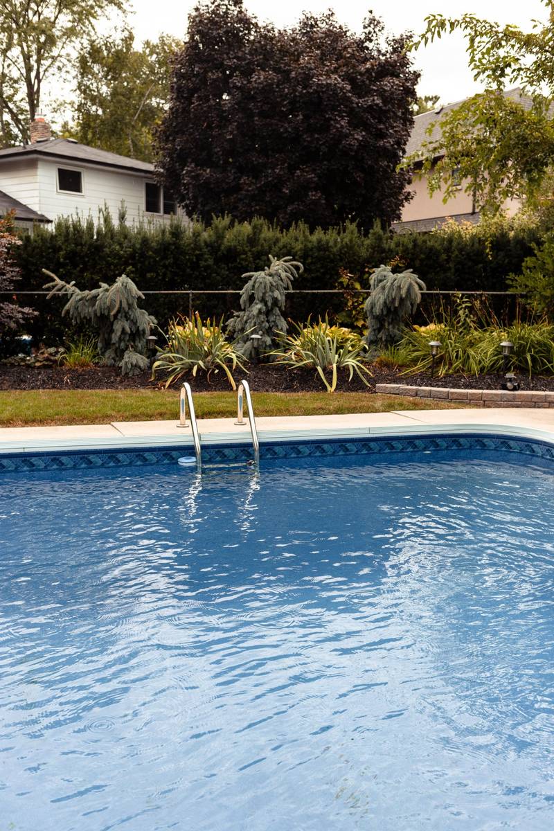 Rippling blue pool with a steel ladder and planted beds behind it